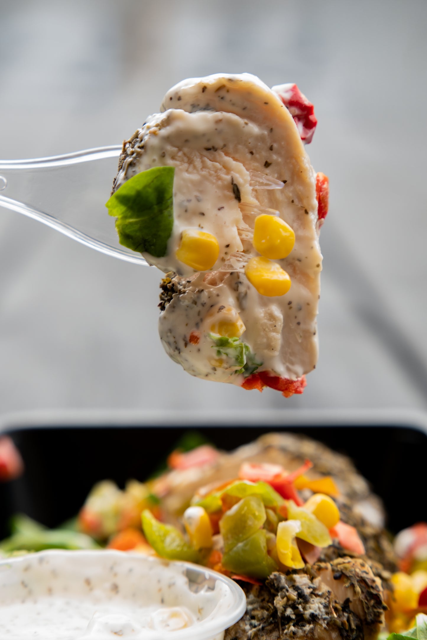 18. Chicken Salad, Tzatziki Sauce